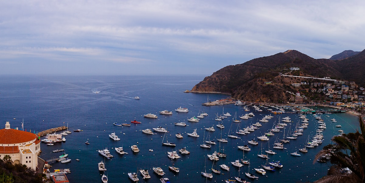 Avalon